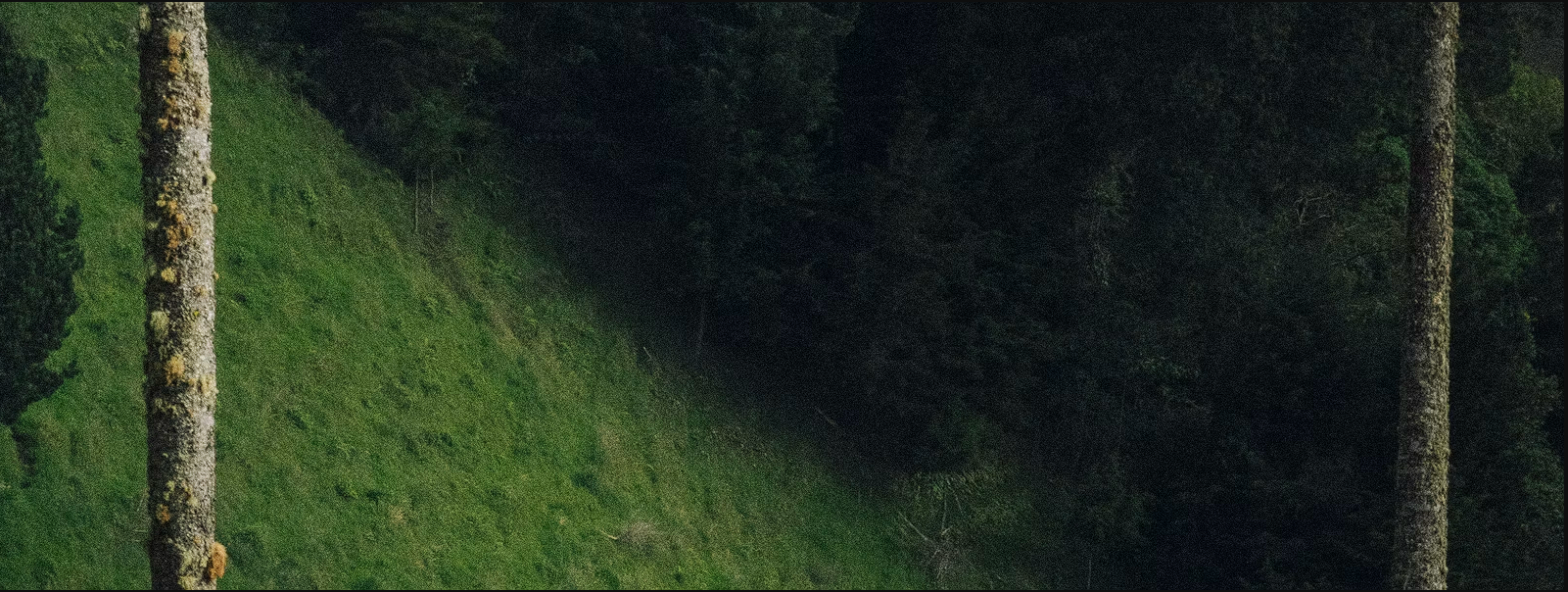 Newsletter background